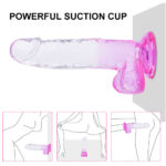 POWERFUL SUCTION CUP