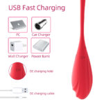 App Controlled Rechargeable Silicone Love Egg Vibrator